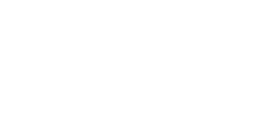 Logo Gruppo Fire Titanium